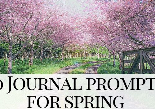 outdoor scene of cherry blossom on the trees - spring journal prompts
