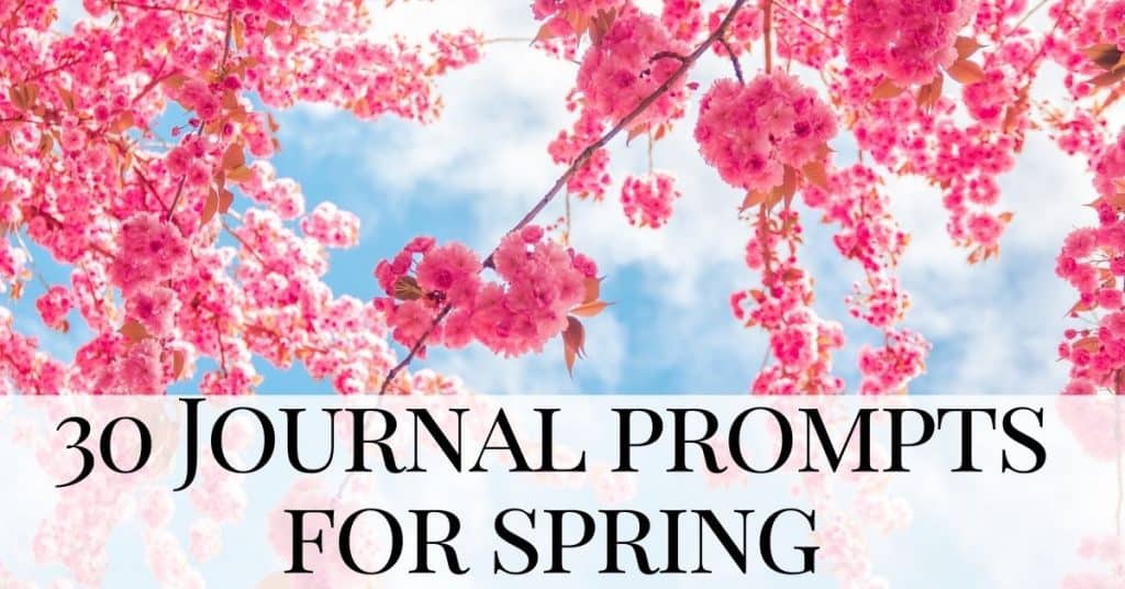 cherry blossom - spring journal prompts