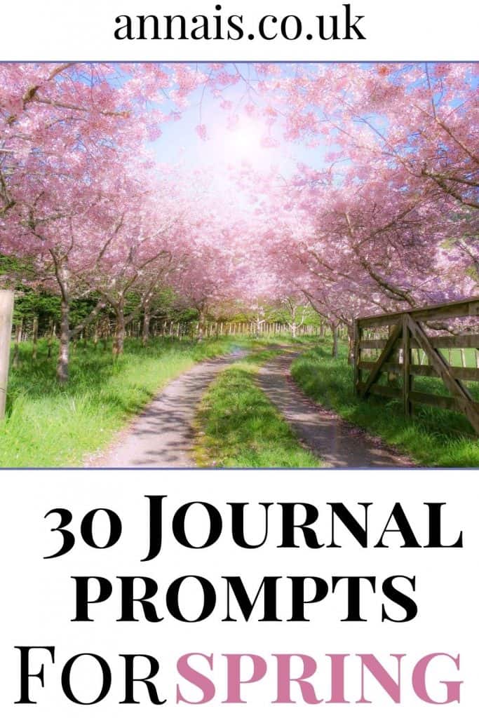 outdoor scene of cherry blossom on the trees - spring journal prompts
