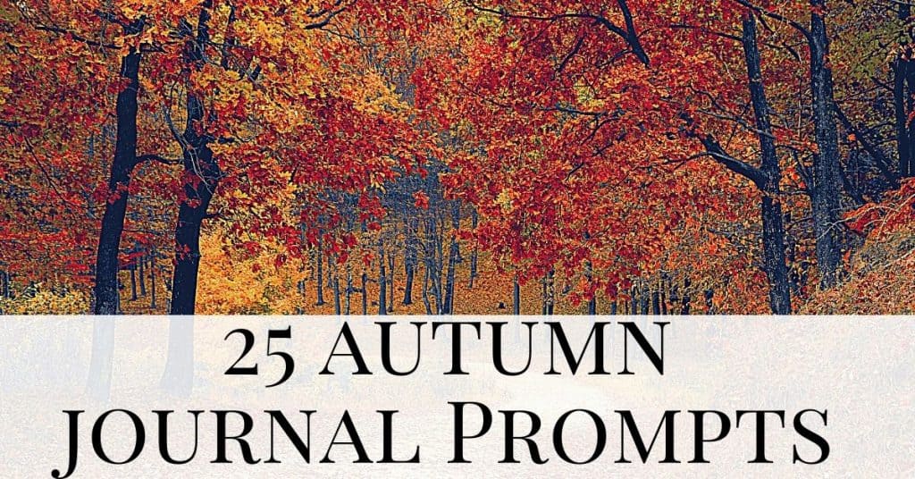autumn trees - autumn journal prompts